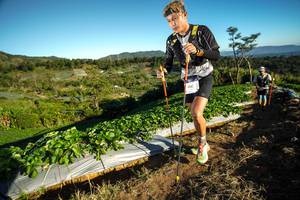 BIB: 
                            <button type="button" onclick="openModal(19111503)" class="btn btn-primary btn-sm float-right btn-popup" data-toggle="modal" data-target=".modal-high-quality">
                        <i class="fas fa-shopping-cart"></i> Add to Cart
                    </button>
                                            <button type="button" onclick="isThisMe(19111503, true)" class="btn btn-success btn-sm float-right btn-popup btn-isme hidden" data-toggle="tooltip" data-placement="bottom" title="นี่คือรูปของคุณใช่ไหม คลิกที่นี่เพื่อเอาเข้าอัลบั้ม">
                        <i class="fas fa-plus"></i> Add to album
                    </button>
                    <button type="button" onclick="isThisMe(19111503, false)" class="btn btn-warning btn-sm float-right btn-popup btn-isnotme hidden">
                        <i class="fas fa-ban"></i> Remove from album
                    </button>